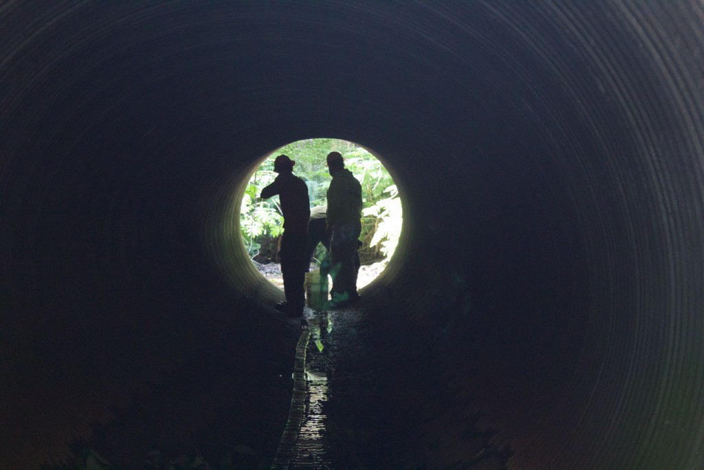 culvert at upper Wallooskee